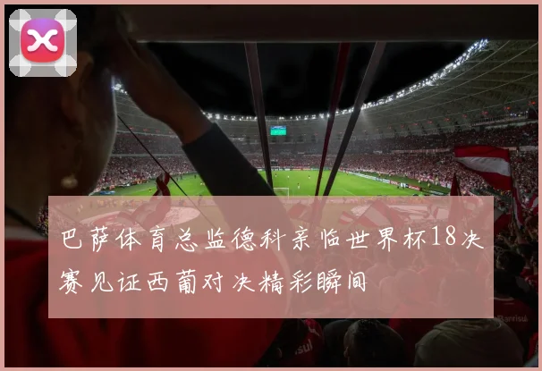 巴萨体育总监德科亲临世界杯18决赛见证西葡对决精彩瞬间